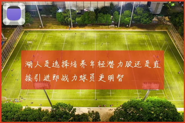 湖人是选择培养年轻潜力股还是直接引进即战力球员更明智